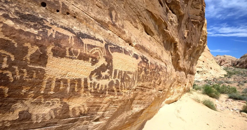 Plan Your Trip with This Complete Albuquerque, NM Travel Guide