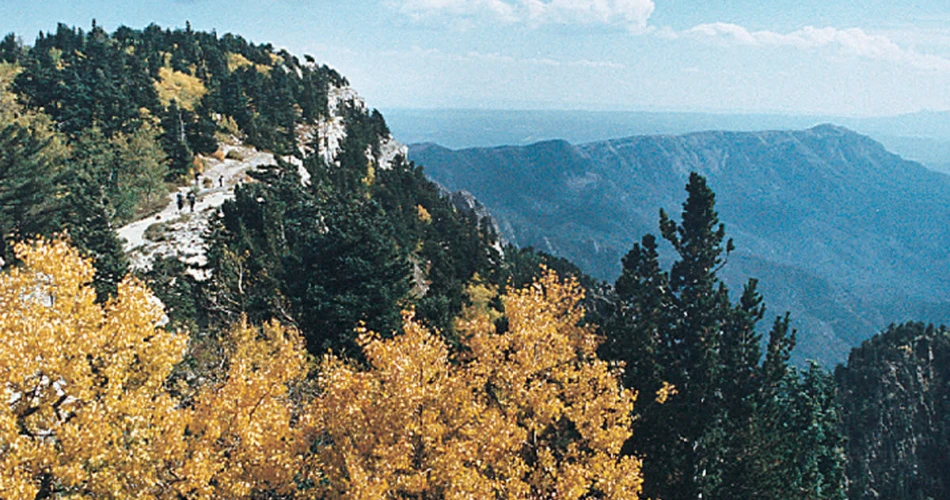 Plan Your Trip with This Complete Albuquerque, NM Travel Guide